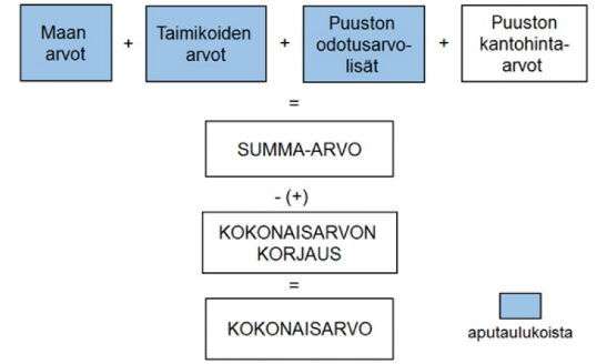 summa-arvomenetelm-arviointi-ja-korvaustiedot